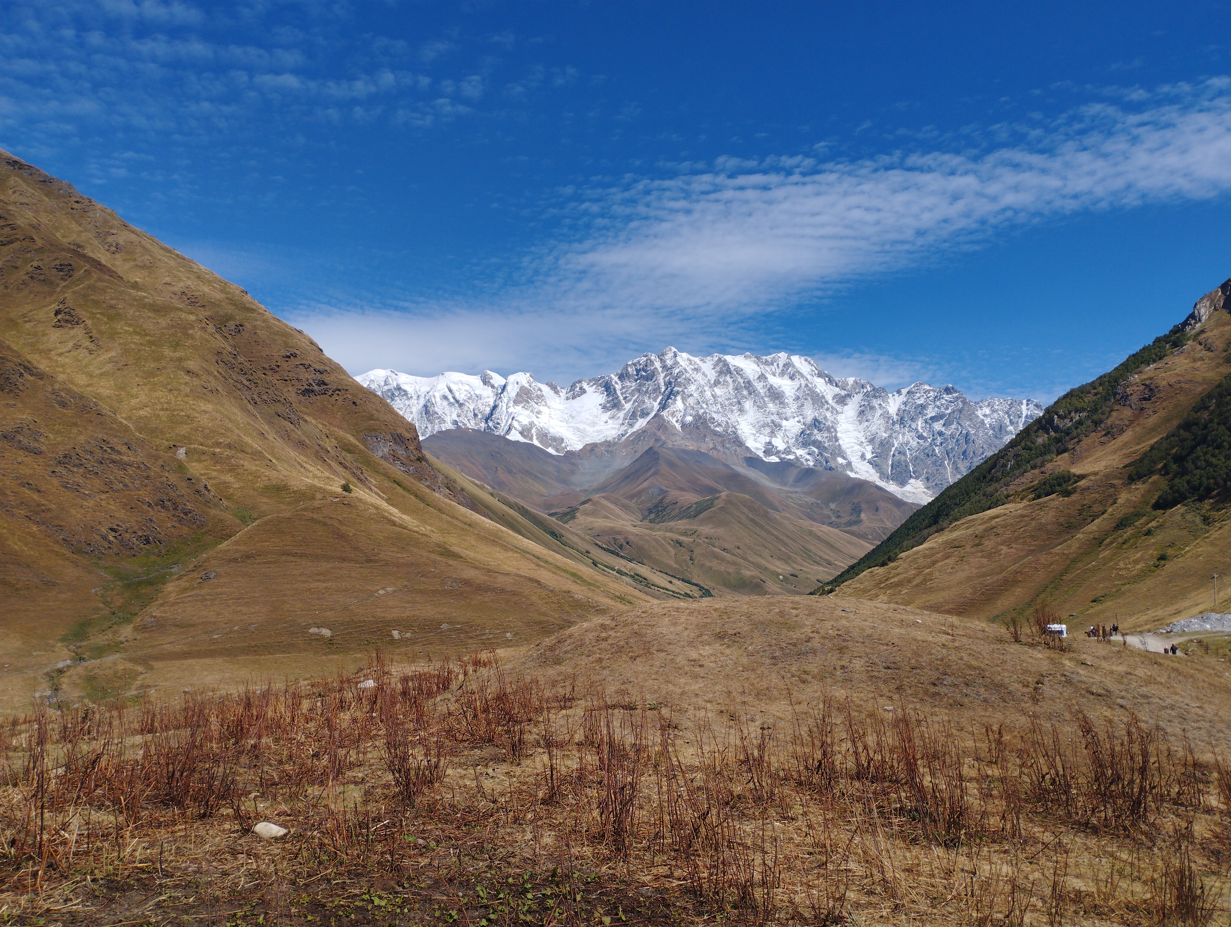 ალბომი: Svaneti